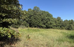 8125 Heart Road, Mammoth Spring, AR 72554
