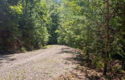 OFF Little E Fork Road, Canton, NC 28716