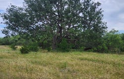 824 County Rd 409, Talpa, TX 76884