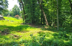 Fox Fire Road, Central, SC 29630