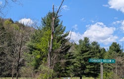 41 Fishbasket Hollow Dr., Austin, PA 16720