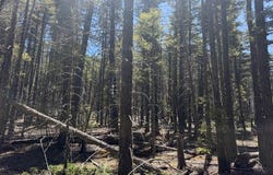Sawyer Mesa Road, Pecos, NM 87552