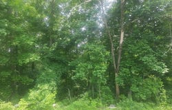 Van Buren, MO 63965