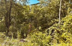 Lake Road, Medina, OH 44256