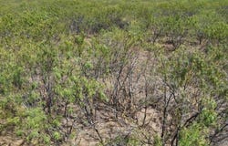 County Road 3230, Abbott, TX 76621