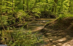 Davis Road, Eastanollee, GA 30538