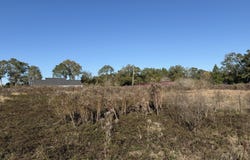 Parcel 2 Crenshaw Rd, Lucedale, MS 39452