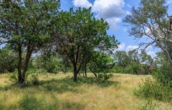 Ranch Rd 648, Doss, TX 78618