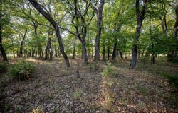 CR 2800, Havana, KS 67347
