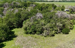 2031 County Road 3310, Valley Mills, TX 76689