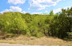 Arts Way, Gordon, TX 76453