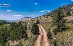 Highway 67, Cripple Creek, CO 80813