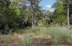 4141 Fm 60 W, Somerville, TX 77879
