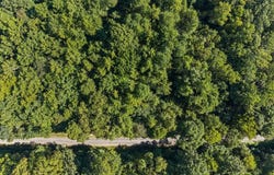 Huddleston Loop, Dawson Springs, KY 42408