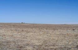 35800 Hanisch Rd, Calhan, CO 80801