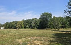 6348 Lawrence 1207, Ash Grove, MO 65604