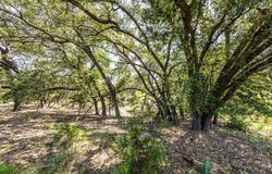 2610 River Way, Spring Branch, TX 78070