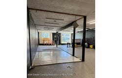 1217 Cesar E Chavez Avenue, Lansing, MI 48906