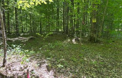 Osborn Dr, McMillan, MI 49853