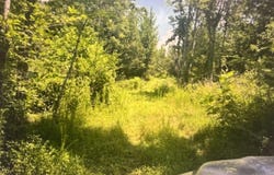 196 BOYD Ln, Stanton, TN 38069