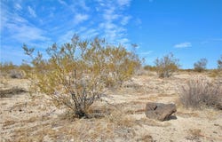 Moonlight Mesa Avenue, Joshua Tree, CA 92252