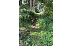 LOWLINE, GREAT CACAPON, WV 25422
