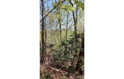 Staghorn Road, Purlear, NC 28665