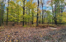 River Road, Hannawa Falls, NY 13647