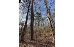 830 Stoddard Dr., Wetumpka, AL 36093