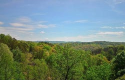 3734 Highway 41 Trail, Ringgold, GA 30736