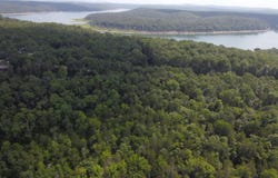 Persinger Road, Cedarcreek, MO 65627
