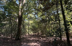 22500 Highway 31, Evergreen, AL 36401