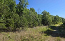 L-52 Barnes Road, Evening Shade, AR 72532