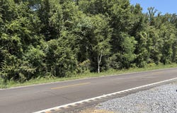 U.s. Highway 51, Canton, MS 39046