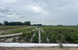 clay 312 Road, McDougal, AR 72441