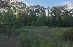 TBD Beaver Hollow RD, Garfield, AR 72732