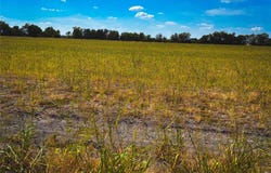 CR 3061, Thorndale, TX 76577