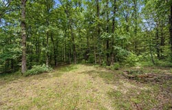 Madison 5540, Elkins, AR 72727