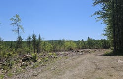 M10 L25 Cahoon Road, Chesterville, ME 04938
