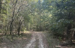 371 County Road 4266, Simms, TX 75574
