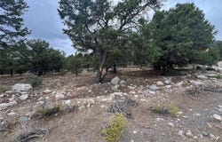 1917 Lone Pine Way, Crestone, CO 81131