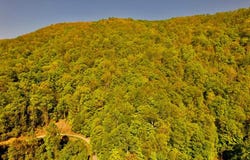 Lot 7 Forest Run Rd, Whittier, NC 28789