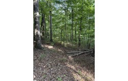 Daves Valley Road, Pickens, SC 29671