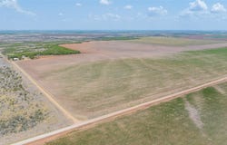 11270 County Road 202, Avoca, TX 79503