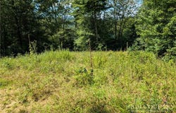 Parkway Pointe Drive lot: #3, West Jefferson, NC 28694