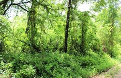 20 E 2100 Road, Boswell, OK 74727