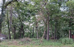 1272 Westlake Woods Drive, Battle Creek, MI 49037