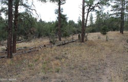 004U Elk Trail, Show Low, AZ 85901