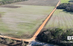 Wiggins Road, Frisco City, AL 36445