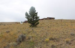 Harmony Cir lot: 146, Westcliffe, CO 81252